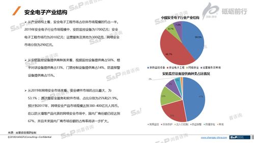中国安全电子行业发展调研报告